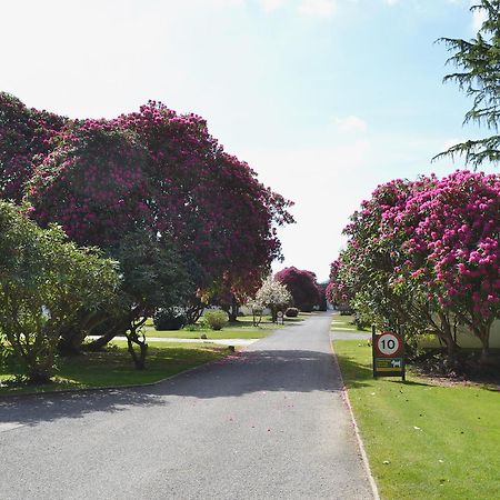 Trebah - B5623 Villa Saint Cleer Bagian luar foto